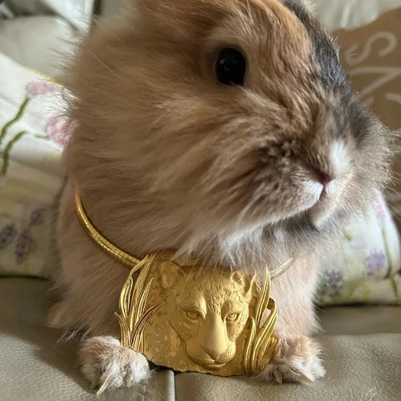 Show listing - Picture 1 of 1